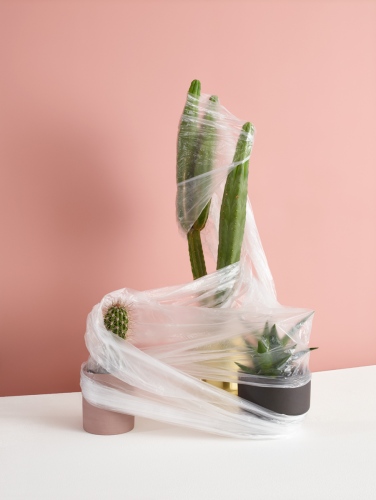 steffi b&uuml;hlmaier steffibuehlmaier - folie - cacti wrapped in membrane - jan burwick