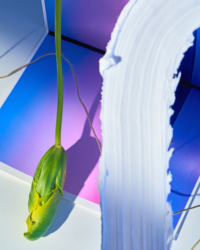 Steffi Bühlmaier Set Design. white brush stroke and green tulip upsidedown in front of gradient - set design: steffi bühlmaier steffibuehlmaier - photography: paul kusserow - freie sache - abstract art